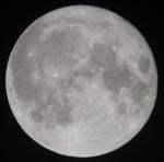 Moon's Avatar