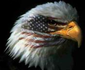 Sovereignty's Avatar