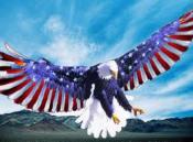 ScreamingEagle's Avatar