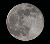 Wolfmoon's Avatar