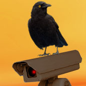 crowonapost's Avatar