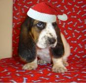 CindyInKentucky's Avatar