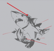 bucs90's Avatar