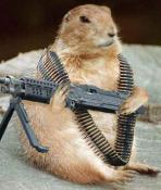 Mini 14's Avatar