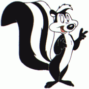 zzzz's Avatar