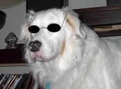 BlindBoo's Avatar