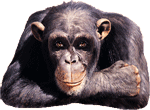 waltky's Avatar