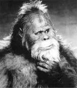 Bigfoot's Avatar