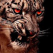 TheStripey1's Avatar