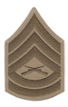 RetiredGySgt's Avatar