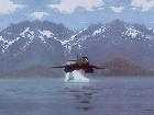 NightTrain's Avatar