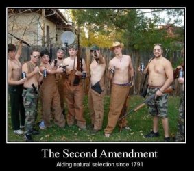 $second-amendment-idiots[1].jpg