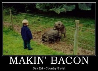 $makin-bacon.jpg