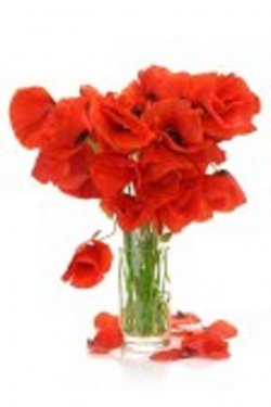 $red poppies boquet.jpg