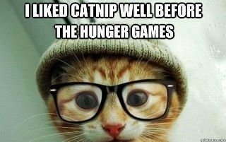 $WillowTree loves catnip.jpg