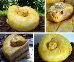 $snake cake.jpg