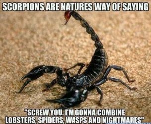 $scorpions.jpg
