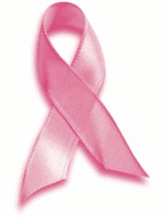 $mudfwhistle pink_ribbon_image.png