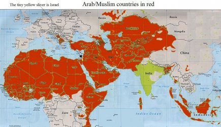 Significant Muslim Populations.jpg