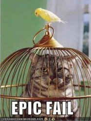 $funny-pictures-bird-cat-cage.jpg