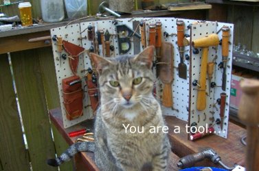$tool cat copy.jpg