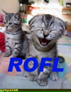 $lol_rofl_cat.jpg
