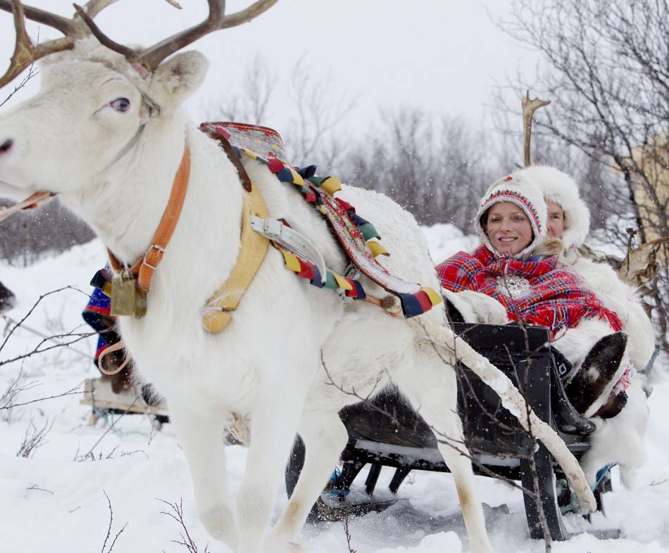prince-albert-ii-princess-charlene-enjoys-reindeer-sledge-ride.jpg