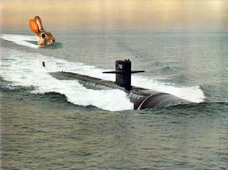 USS+Jimmy+Carter+vs+Rabbit+%231.jpg