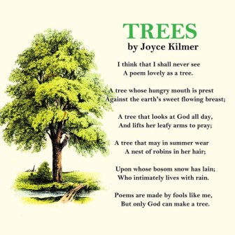 Trees-Joyce-Kilmer-336x336.jpg