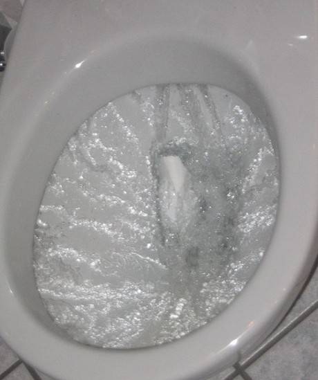 Flushing-Toilet-460x549.jpg
