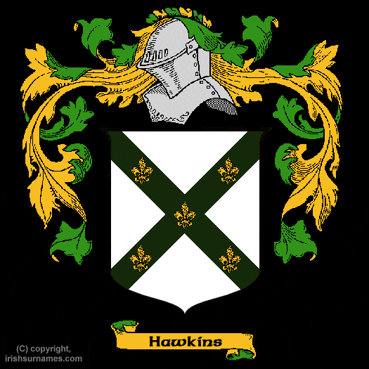 hawkins-coat-of-arms-family-crest.gif