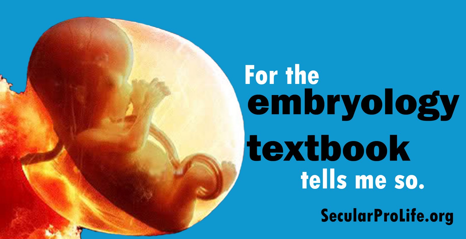 embryology_textbook.jpg