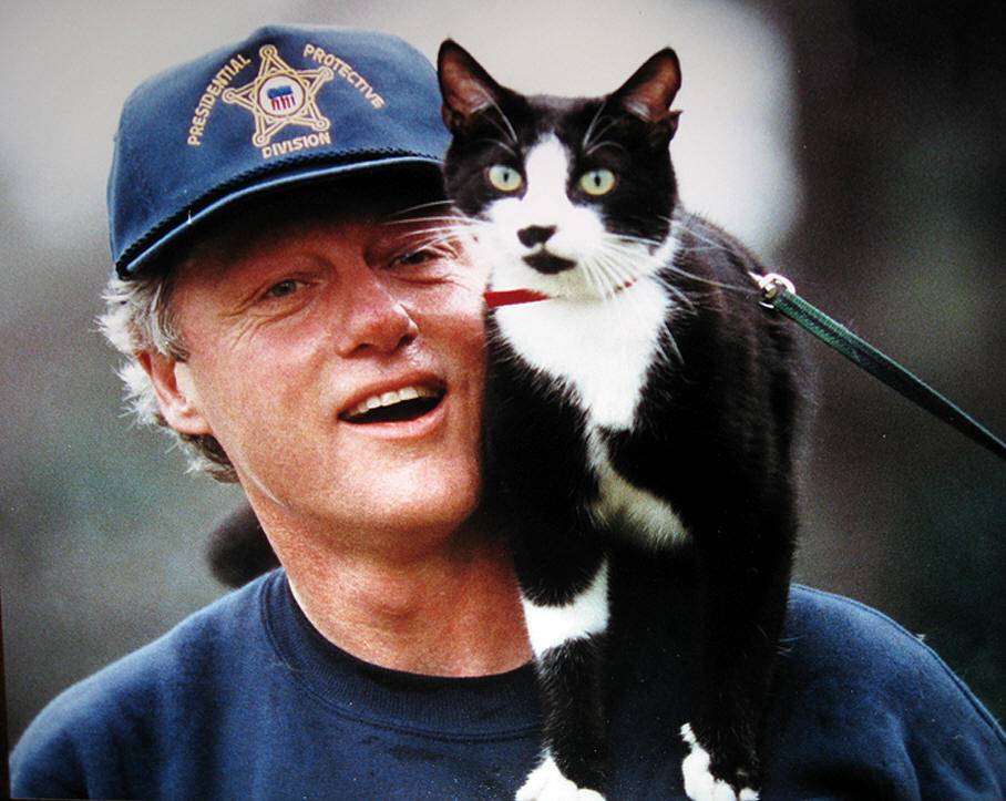 bill-clinton-favorite-cat-socks-photo-1.jpg