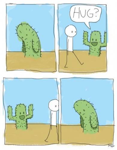 cactus-hug-390x500.jpg