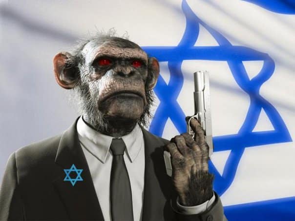 monkey-israel.jpg