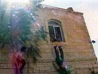 tossing.israeli.from.window.ramallah.jpg
