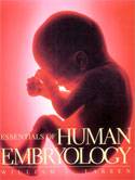 human_embryology.jpg