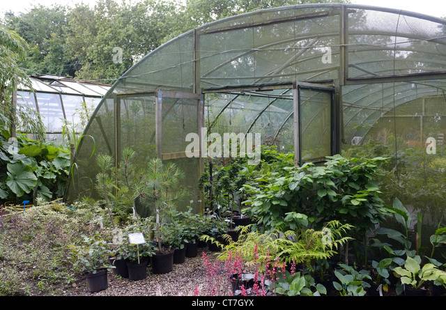 plant-nursery-with-shade-protection-to-protect-from-the-sunlight-commercial-ct7gyx.jpg