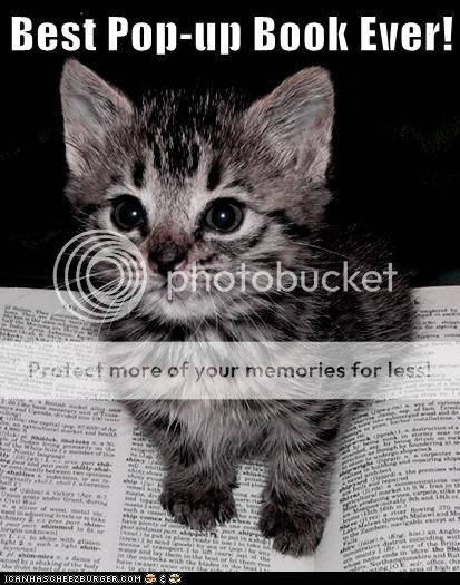 funny-cat-pictures-best-pop-up-book-ever.jpg