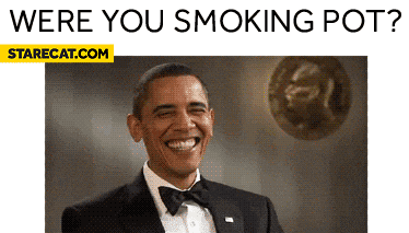 were-you-smoking-pot-obama.gif