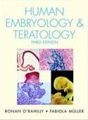 human_embryology_teratology.jpg