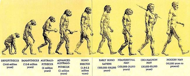 stages-human-evolution-name_229592.jpg