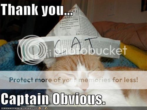 Capt%20Obvious%20cat_zpsuieoryod.jpg