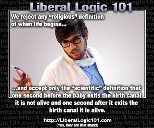 liberal-logic-101-384.jpg