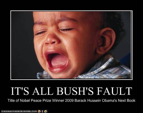 bushs_fault.jpg