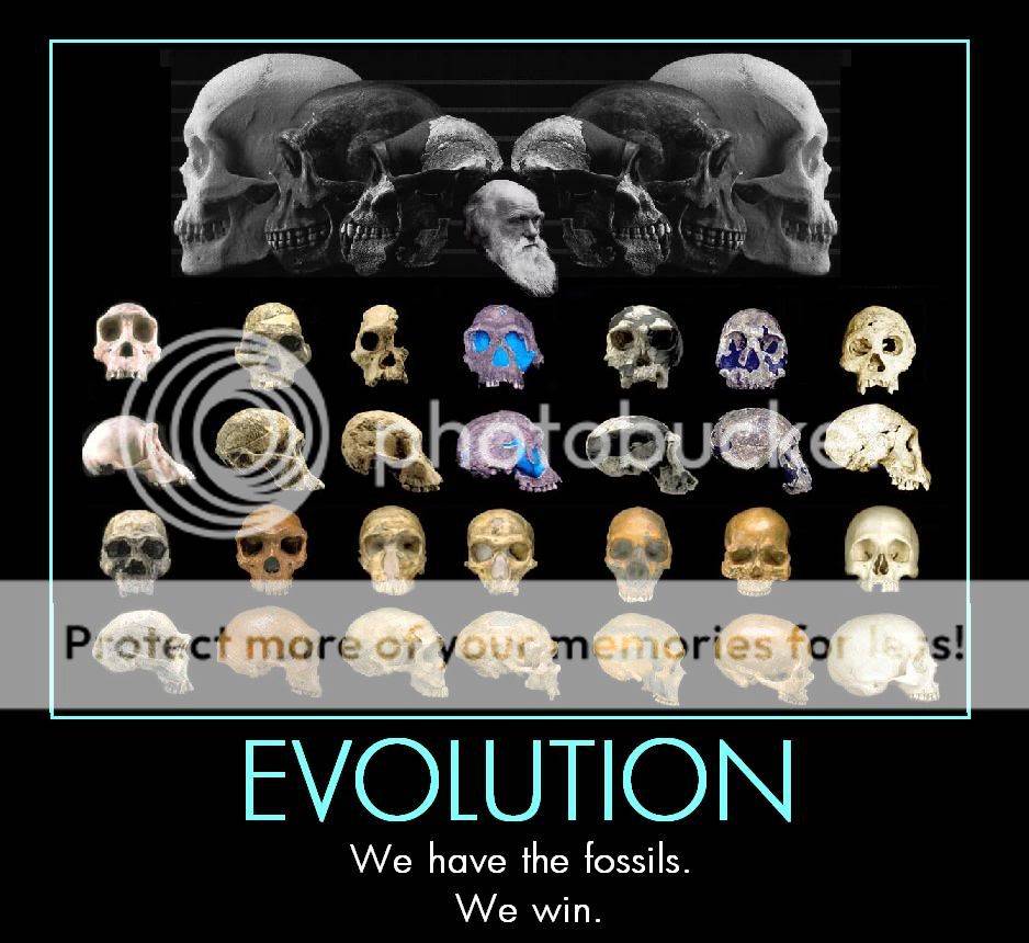 NoFossils.jpg