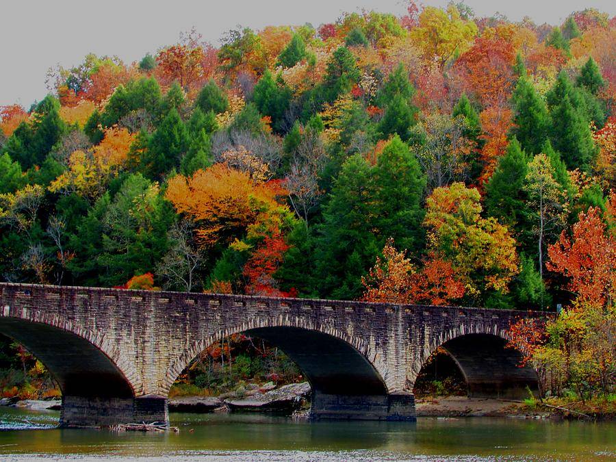autumn-bridge-2-kathy-long.jpg