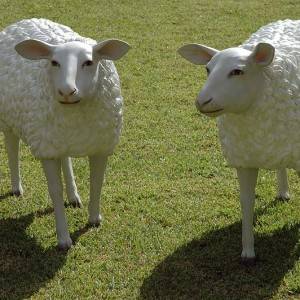 Sheep-Sculpture-Photo-By-Wouter-Hagens-300x300.jpg