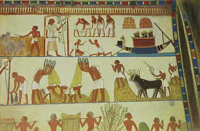 ancient-egyptian-farming-2.jpg