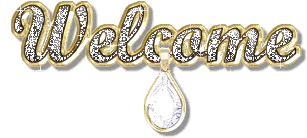 Welcome-Bling-Image.gif